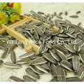 All Kinds of Chinese Seeds Supplier Wholesale Raw Sunflower Seeds 363 361